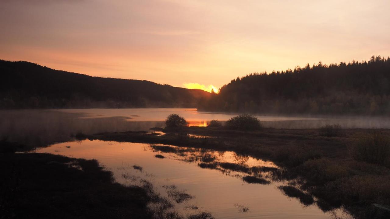 C3 Albmatte-Fewo Sauna, Hallenbad Aussenbecken Massagen Nebenan St. Blasien Kültér fotó