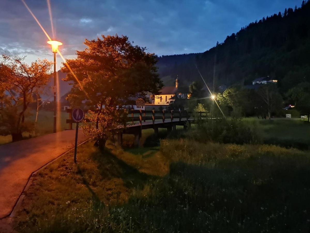 C3 Albmatte-Fewo Sauna, Hallenbad Aussenbecken Massagen Nebenan St. Blasien Kültér fotó