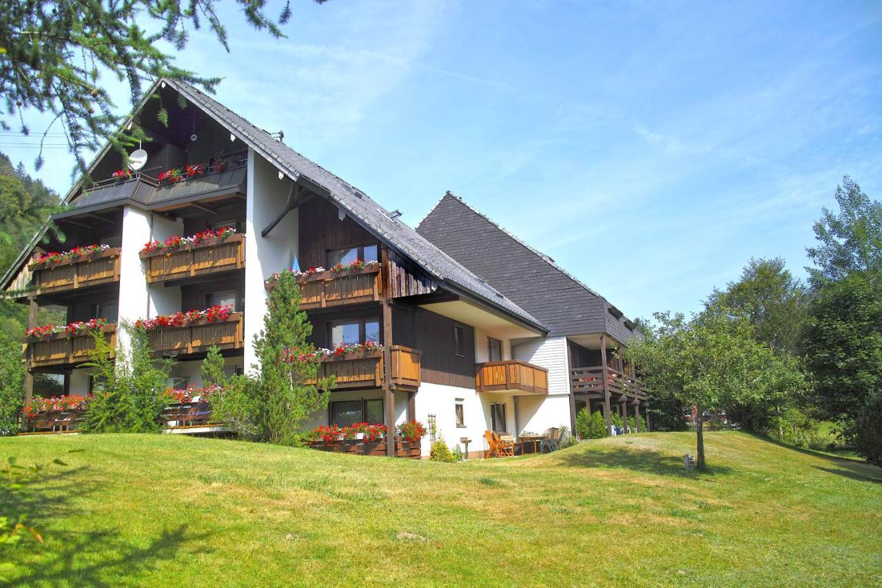 C3 Albmatte-Fewo Sauna, Hallenbad Aussenbecken Massagen Nebenan St. Blasien Kültér fotó