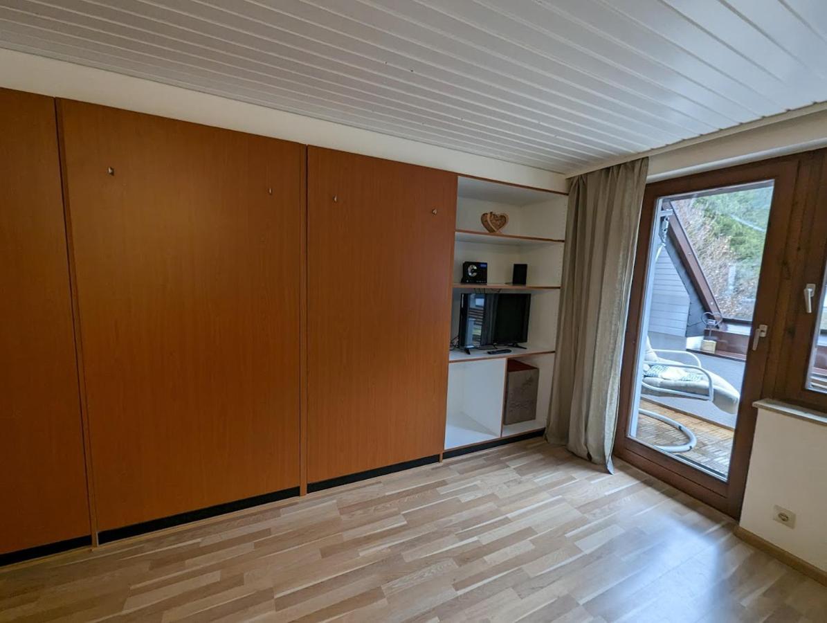 C3 Albmatte-Fewo Sauna, Hallenbad Aussenbecken Massagen Nebenan St. Blasien Kültér fotó