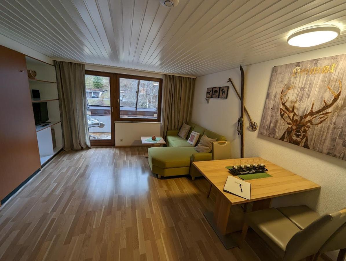 C3 Albmatte-Fewo Sauna, Hallenbad Aussenbecken Massagen Nebenan St. Blasien Kültér fotó