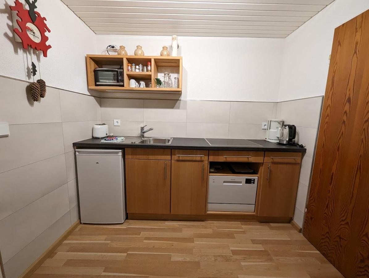 C3 Albmatte-Fewo Sauna, Hallenbad Aussenbecken Massagen Nebenan St. Blasien Kültér fotó