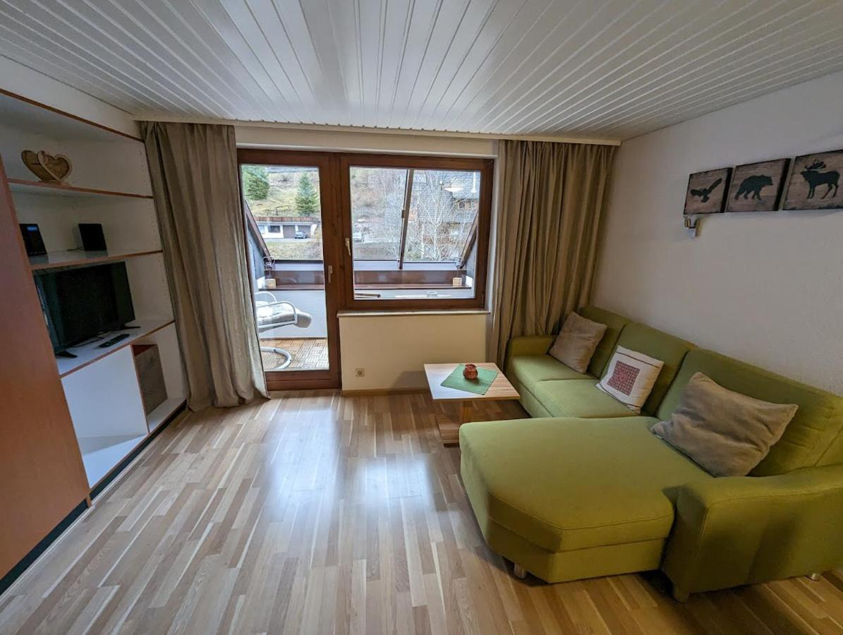 C3 Albmatte-Fewo Sauna, Hallenbad Aussenbecken Massagen Nebenan St. Blasien Kültér fotó