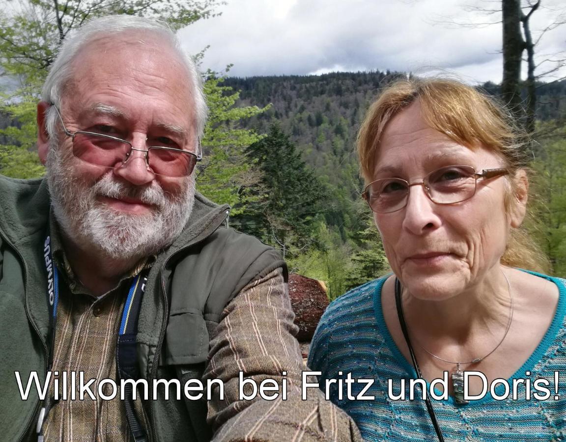 C3 Albmatte-Fewo Sauna, Hallenbad Aussenbecken Massagen Nebenan St. Blasien Kültér fotó
