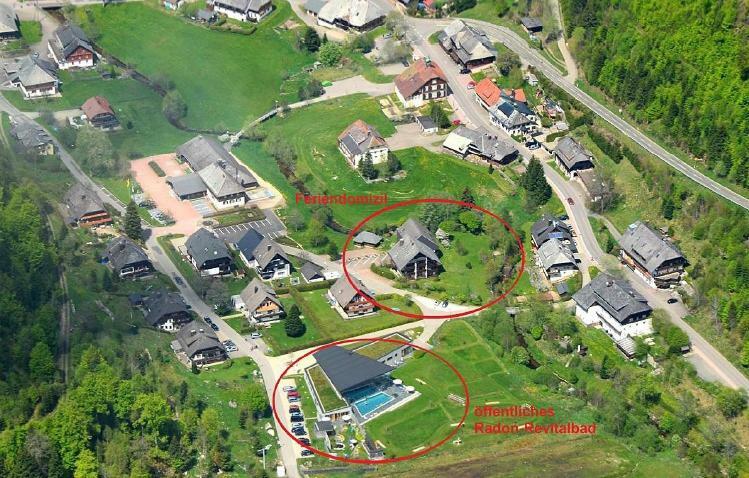 C3 Albmatte-Fewo Sauna, Hallenbad Aussenbecken Massagen Nebenan St. Blasien Kültér fotó