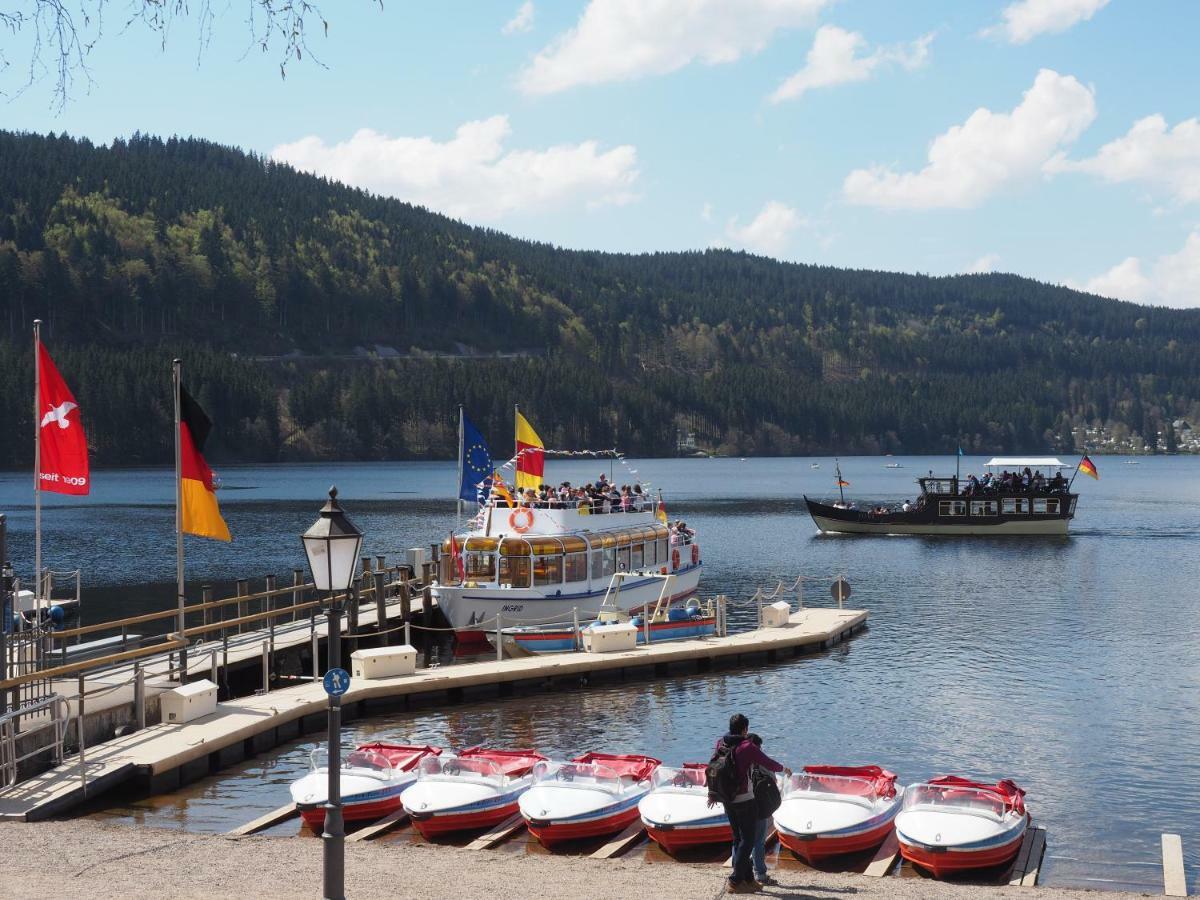 C3 Albmatte-Fewo Sauna, Hallenbad Aussenbecken Massagen Nebenan St. Blasien Kültér fotó