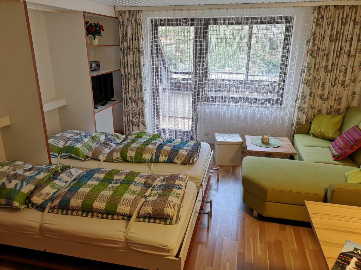 C3 Albmatte-Fewo Sauna, Hallenbad Aussenbecken Massagen Nebenan St. Blasien Kültér fotó