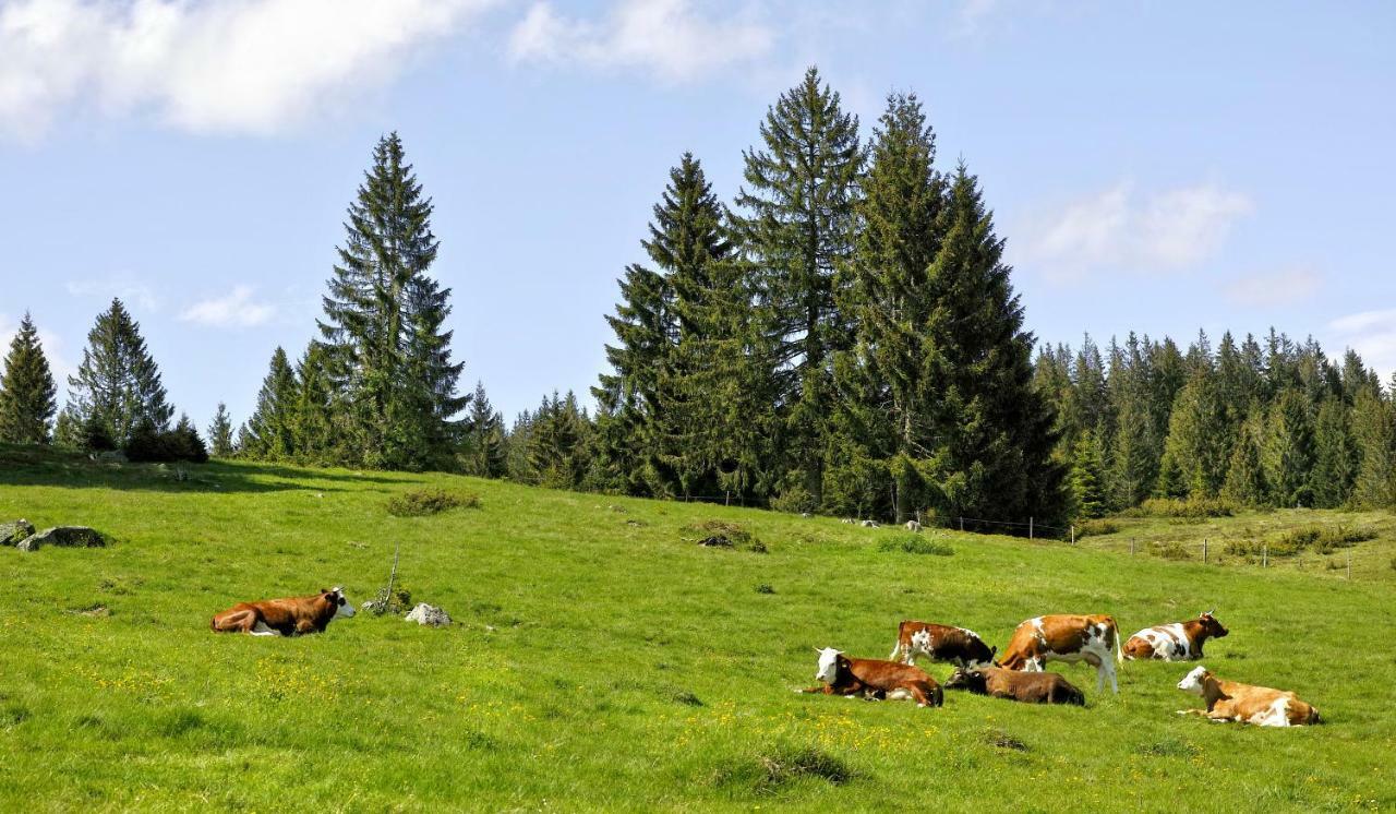 C3 Albmatte-Fewo Sauna, Hallenbad Aussenbecken Massagen Nebenan St. Blasien Kültér fotó