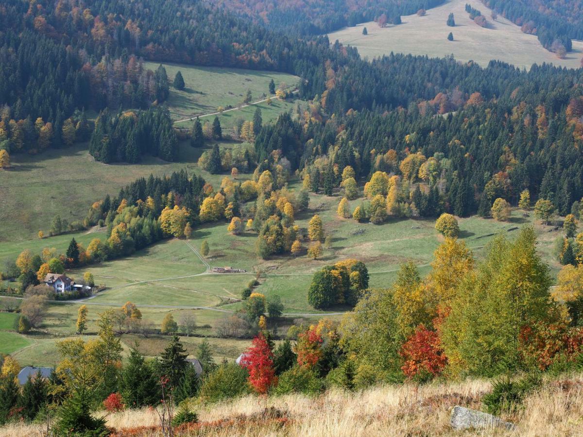 C3 Albmatte-Fewo Sauna, Hallenbad Aussenbecken Massagen Nebenan St. Blasien Kültér fotó
