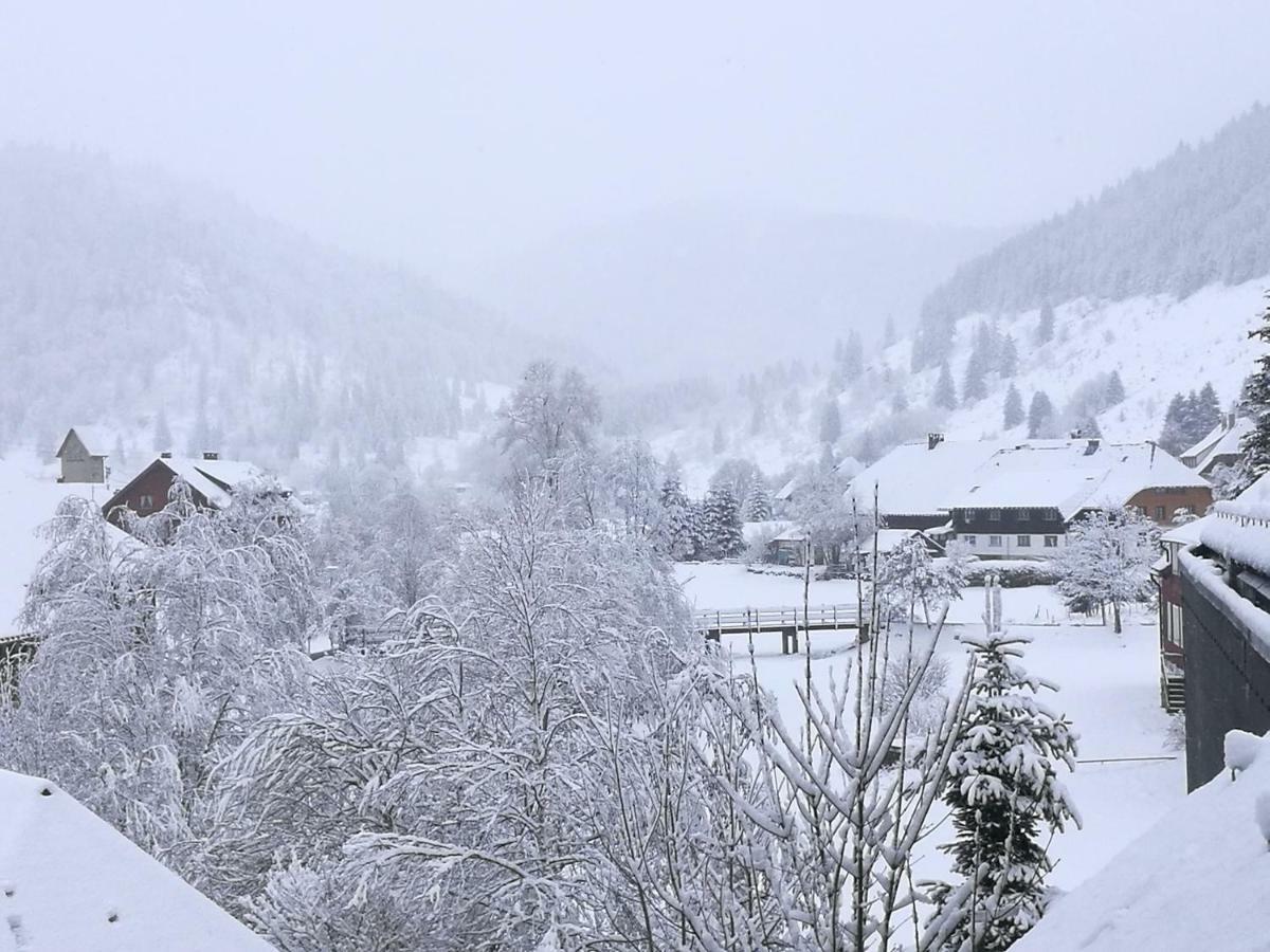 C3 Albmatte-Fewo Sauna, Hallenbad Aussenbecken Massagen Nebenan St. Blasien Kültér fotó