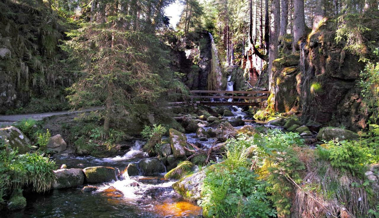 C3 Albmatte-Fewo Sauna, Hallenbad Aussenbecken Massagen Nebenan St. Blasien Kültér fotó