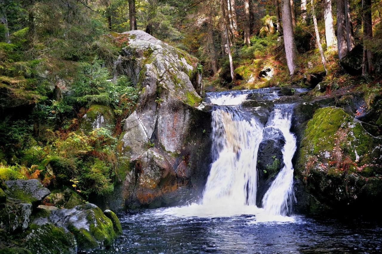 C3 Albmatte-Fewo Sauna, Hallenbad Aussenbecken Massagen Nebenan St. Blasien Kültér fotó