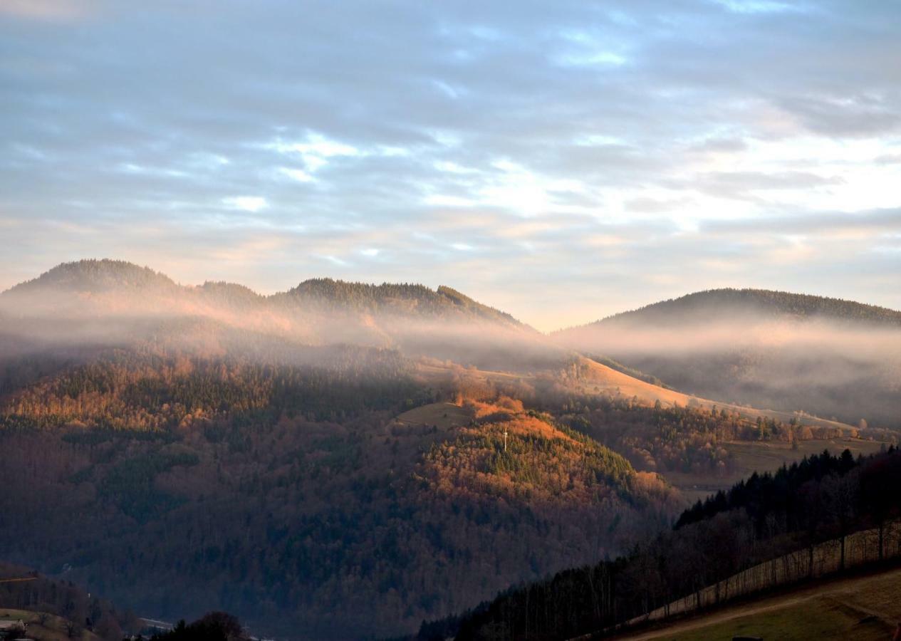 C3 Albmatte-Fewo Sauna, Hallenbad Aussenbecken Massagen Nebenan St. Blasien Kültér fotó