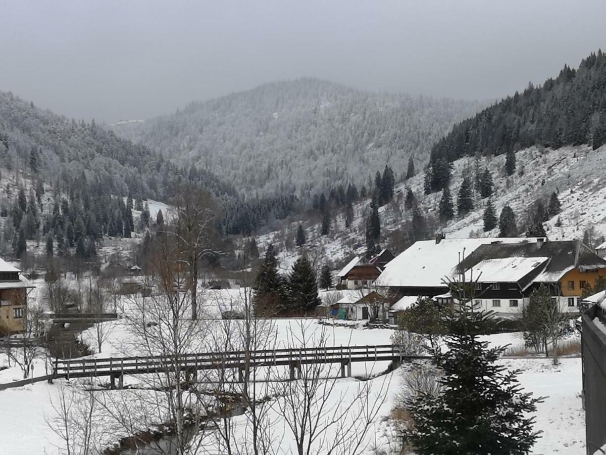C3 Albmatte-Fewo Sauna, Hallenbad Aussenbecken Massagen Nebenan St. Blasien Kültér fotó
