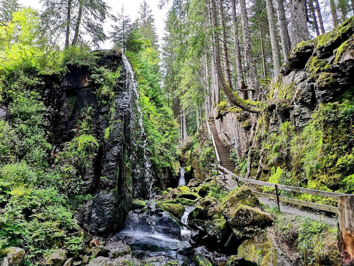 C3 Albmatte-Fewo Sauna, Hallenbad Aussenbecken Massagen Nebenan St. Blasien Kültér fotó