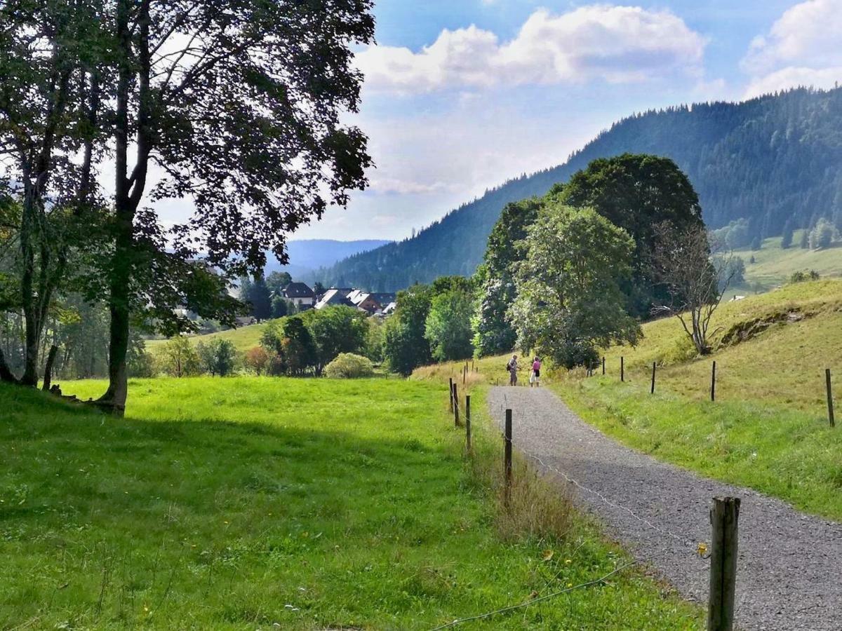 C3 Albmatte-Fewo Sauna, Hallenbad Aussenbecken Massagen Nebenan St. Blasien Kültér fotó