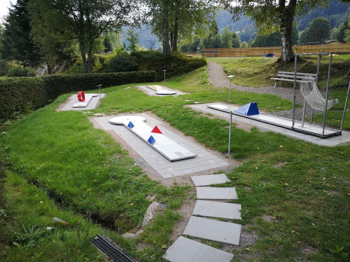 C3 Albmatte-Fewo Sauna, Hallenbad Aussenbecken Massagen Nebenan St. Blasien Kültér fotó