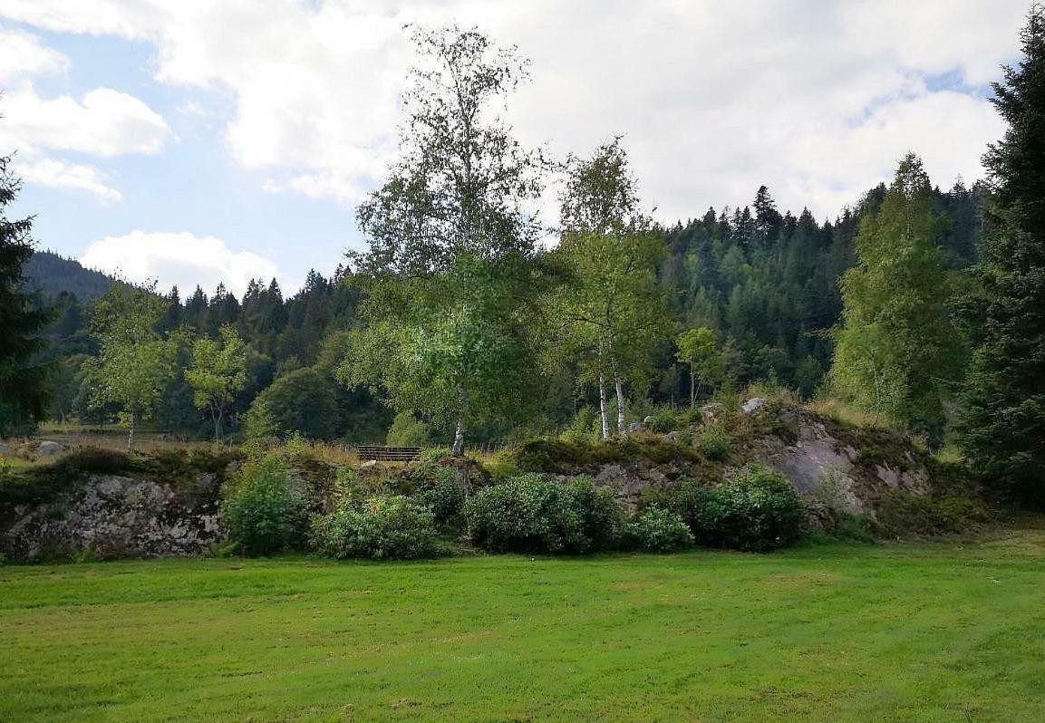 C3 Albmatte-Fewo Sauna, Hallenbad Aussenbecken Massagen Nebenan St. Blasien Kültér fotó