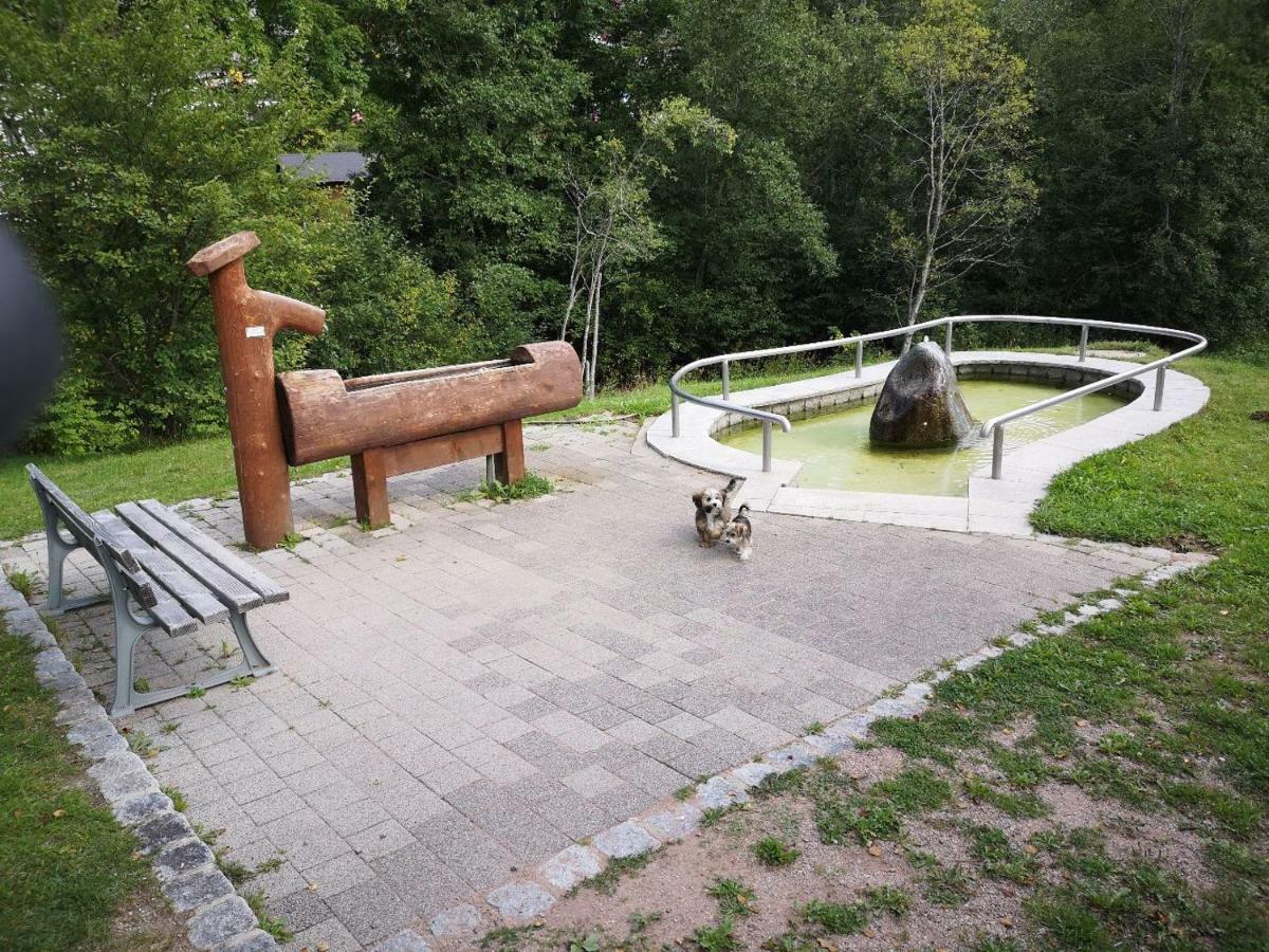 C3 Albmatte-Fewo Sauna, Hallenbad Aussenbecken Massagen Nebenan St. Blasien Kültér fotó
