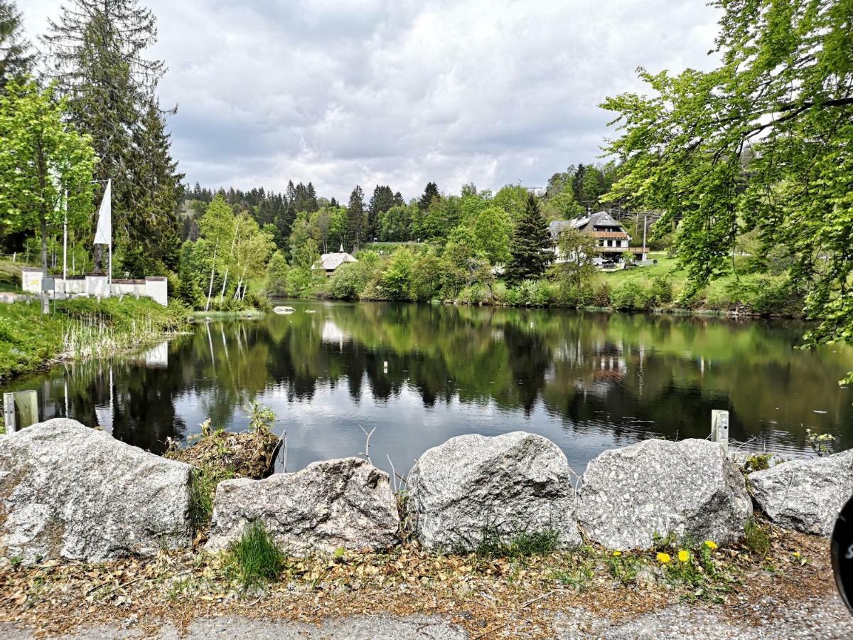 C3 Albmatte-Fewo Sauna, Hallenbad Aussenbecken Massagen Nebenan St. Blasien Kültér fotó