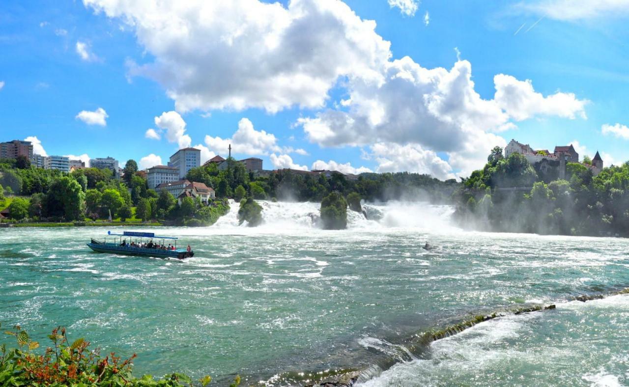 C3 Albmatte-Fewo Sauna, Hallenbad Aussenbecken Massagen Nebenan St. Blasien Kültér fotó